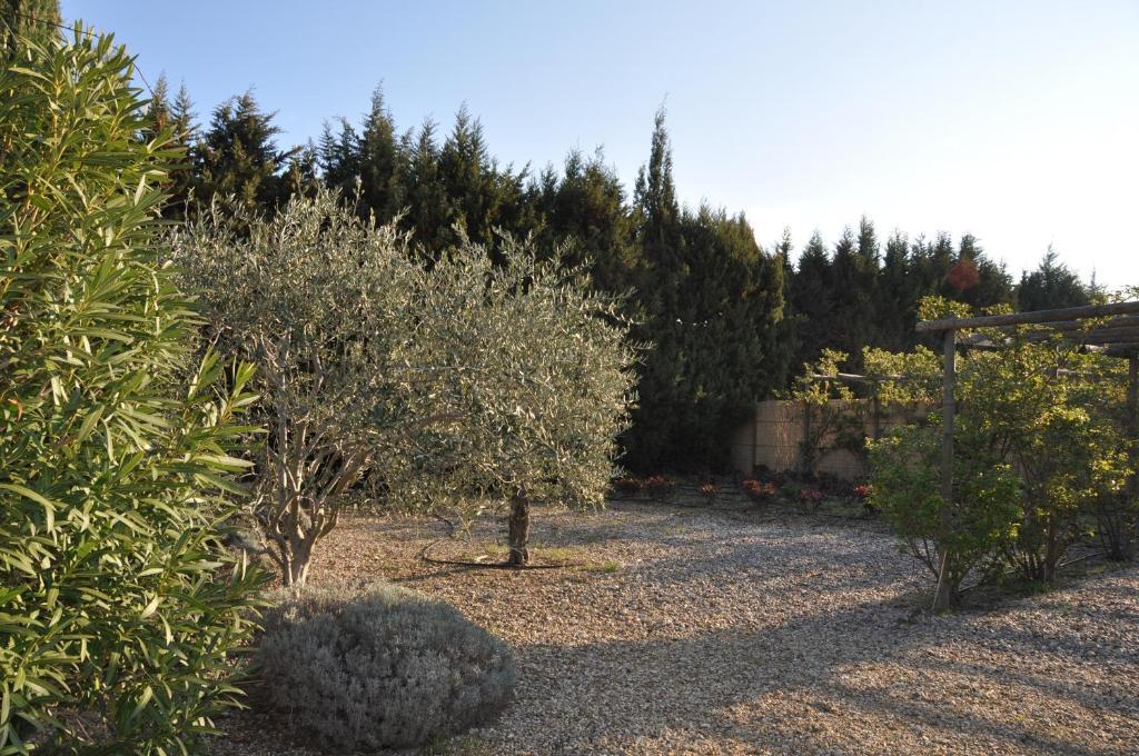麦森莱恩酒店 Saint-Rémy-de-Provence 外观 照片