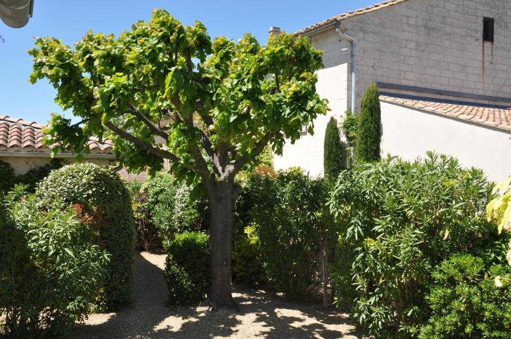 麦森莱恩酒店 Saint-Rémy-de-Provence 外观 照片