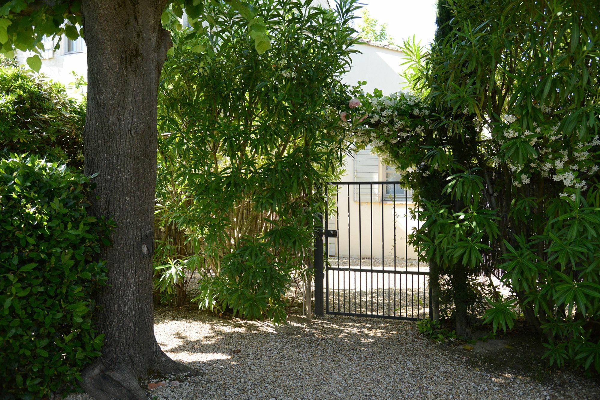 麦森莱恩酒店 Saint-Rémy-de-Provence 外观 照片
